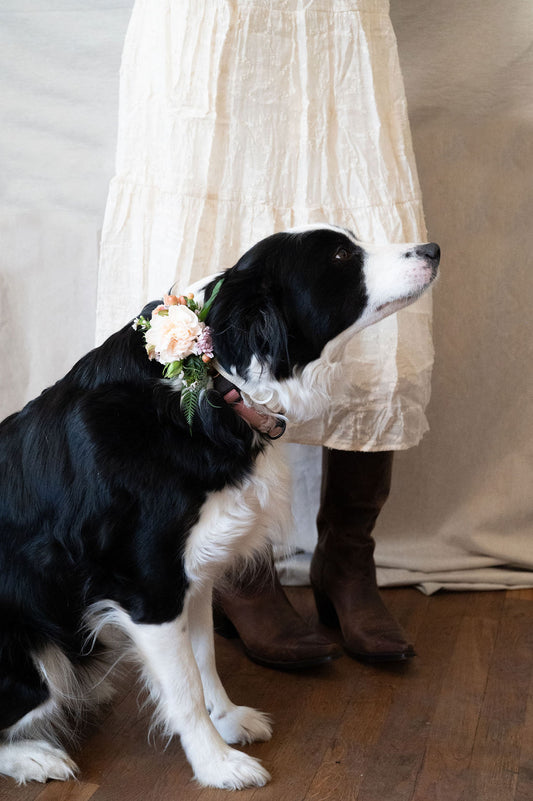 Dog Floral Collar