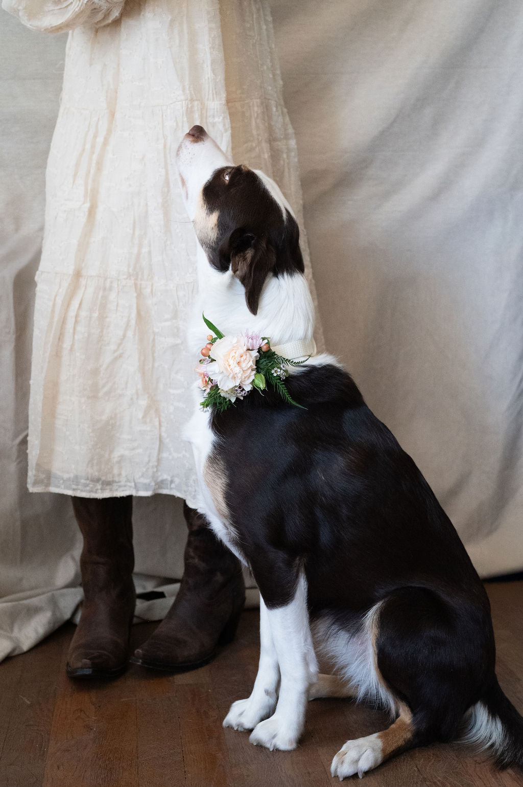 Dog Floral Collar